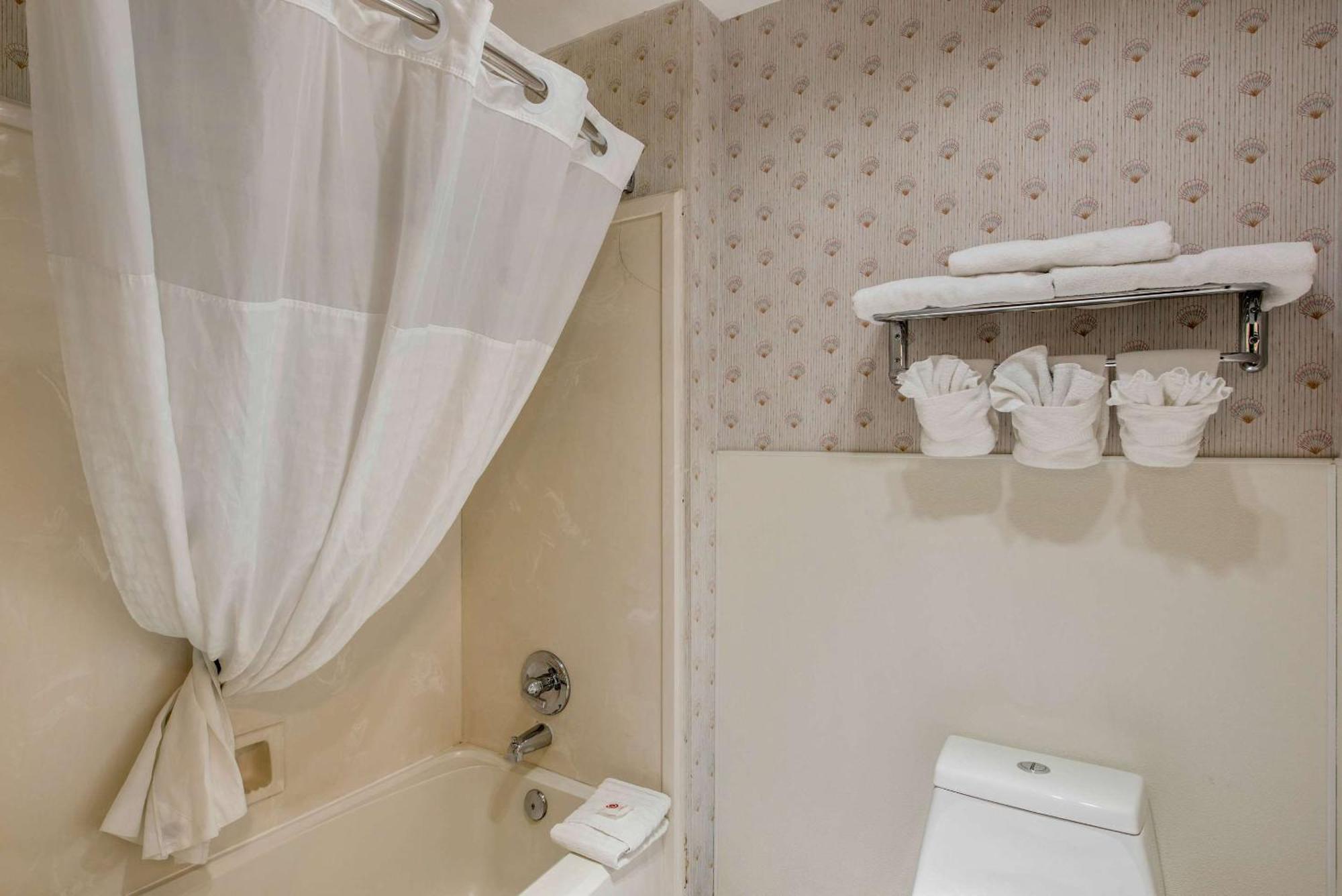 Comfort Inn Mount Shasta Area Weed Esterno foto